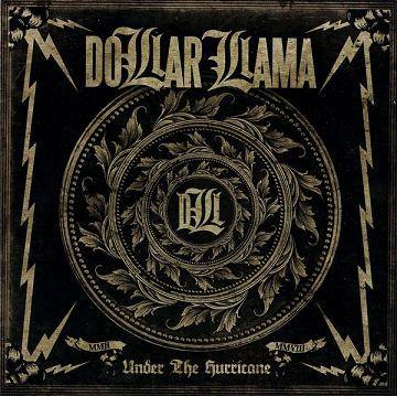 Dollar Llama : Under the Hurricane